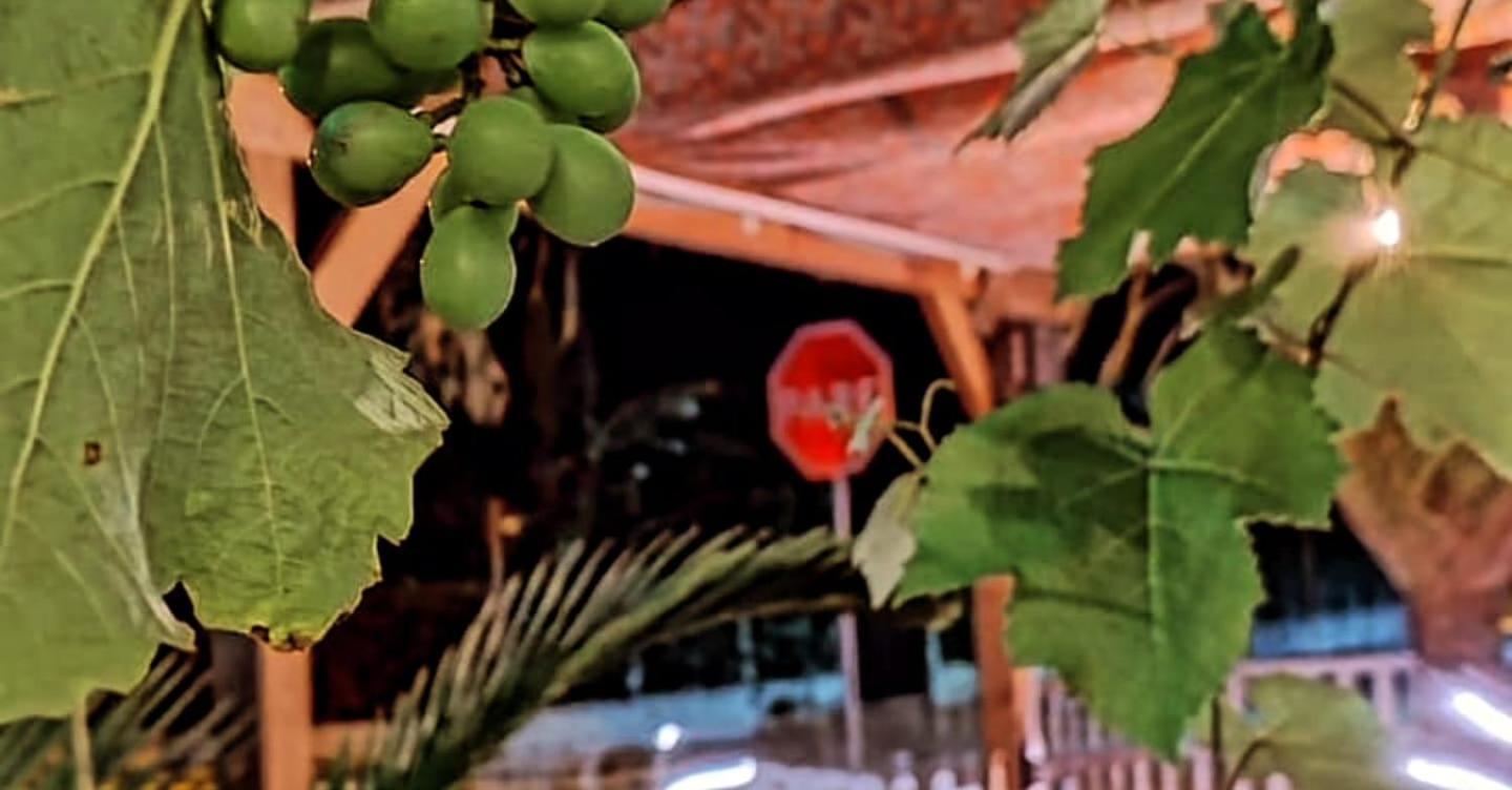 Hostel Vento Leste Bombinhas Buitenkant foto